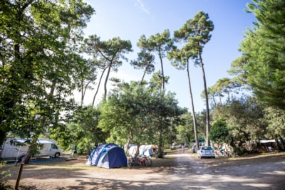 Comfort Camping pitch — 3