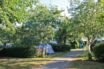 Stellplatz - ⛺ Stellplatz + 🚗 +🔌 - Sites et Paysages Du Pouldu