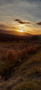 Foto #22 van Les Jardins D’estavar