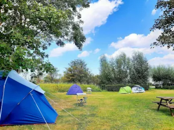 Stellplatz - Zelt Weise - Kompas Camping Nieuwpoort