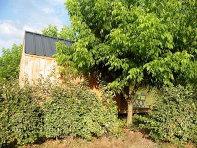 10 m² Caravan Cabin with terrace