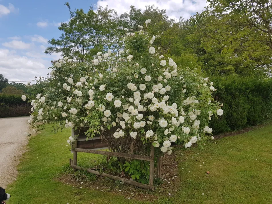LE DOMAINE DE PECANY (La Noix de Pecan'y)