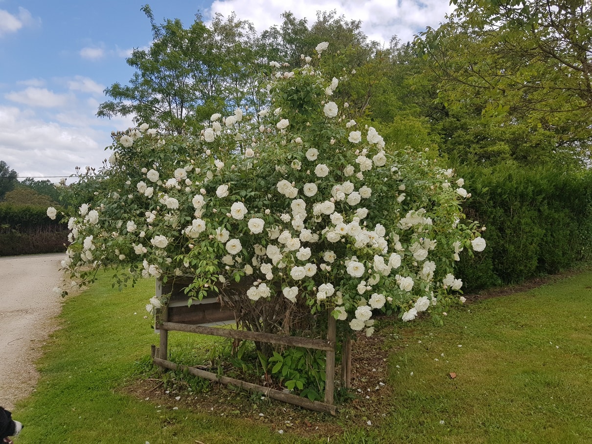 LE DOMAINE DE PECANY (La Noix de Pecan'y) — Photo 10