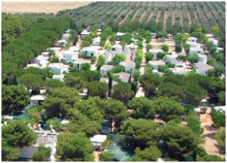 Camping Cala dei Ginepri - Puglia - Immagine n°2 Camping Cala dei Ginepri - Puglia - Immagine n°2