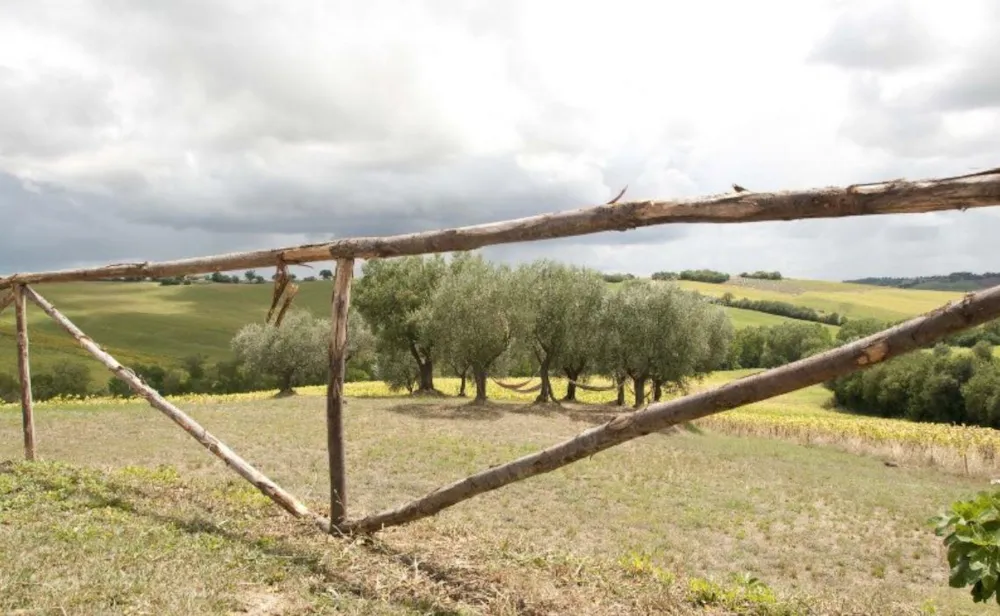 Camping Tenuta Tredici Ulivi