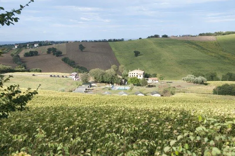 Camping Tenuta Tredici Ulivi