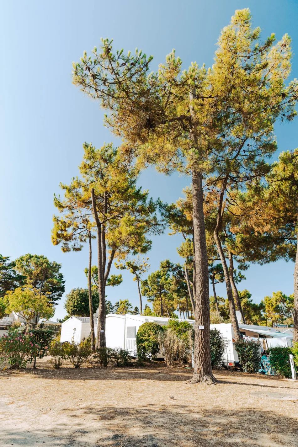 Camping Sunêlia Le Tropicana