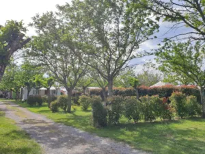 Emplacement - Stellplatz 80-120 m² (Auto + Zelt/Wohnwagen oder Wohnmobil) - Camping BEAUME GIRAUD
