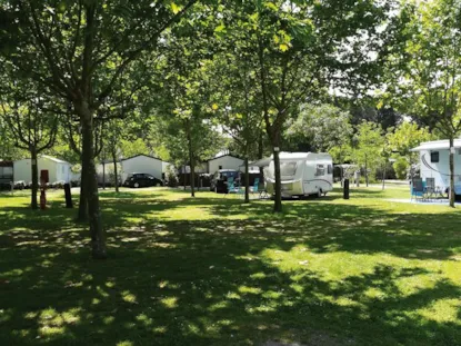 Piazzola Confort (Tenda, Roulotte, Camper / 1 Auto / Elettricità 12A)
