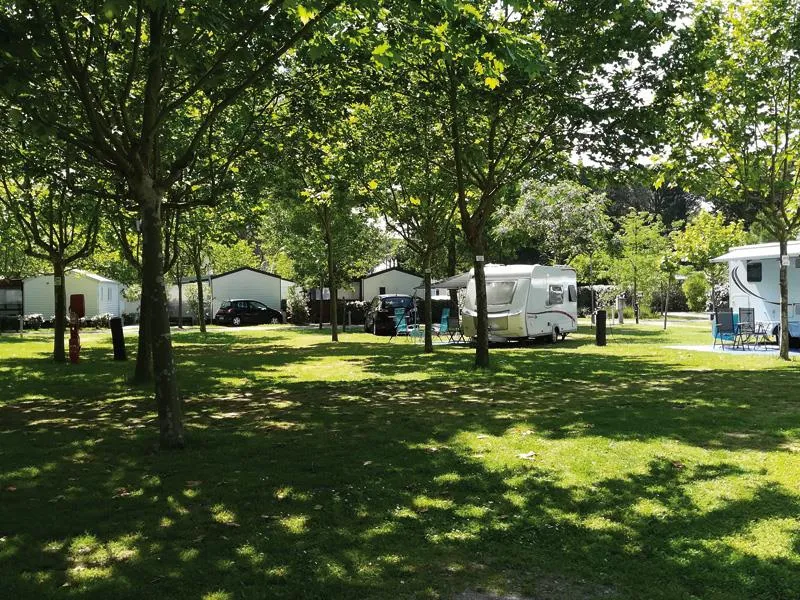 Basisprijs Comfortplaats (1 tent, caravan of camper / 1 auto / elektriciteit 12A)