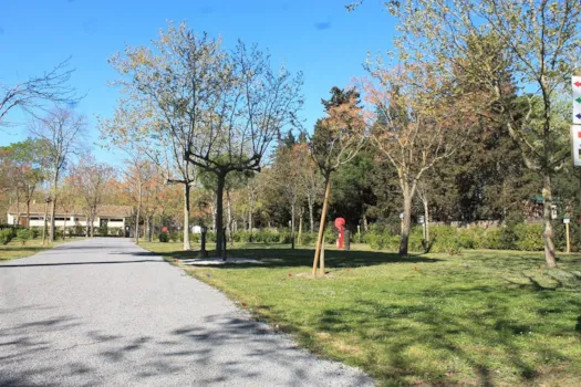 campingstuhl verstellbare rückenlehne Sunula Klappbarer Campingstuhl, Liegestuhl 2-in-1, Belastbar bis 100 –  sekeymall main image 0