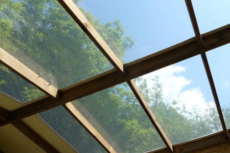 Toilé Maori Zone Nature