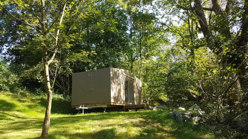 Toilé Maori Zone Nature