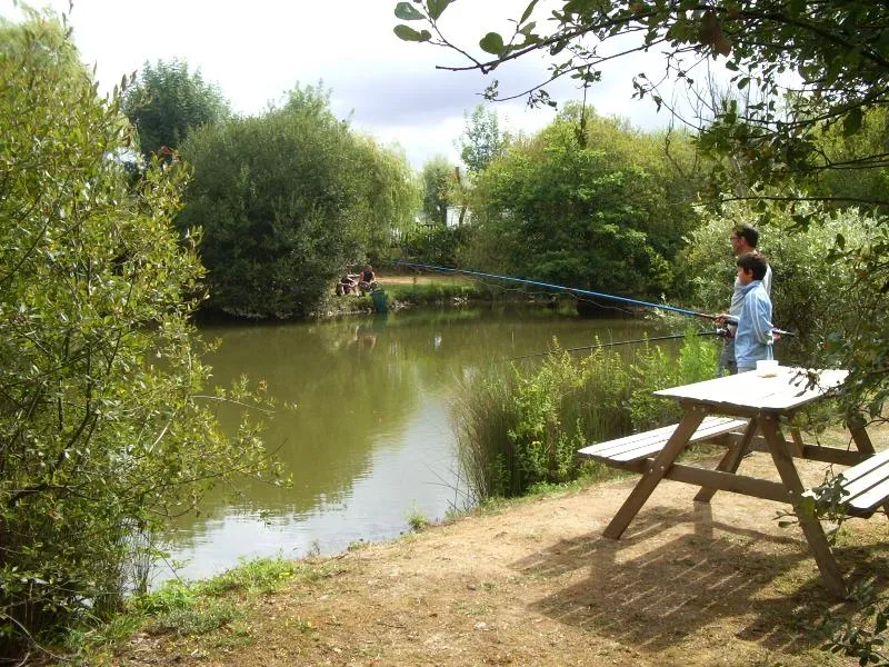 Camping Paradis DOMAINE DE BELLEVUE