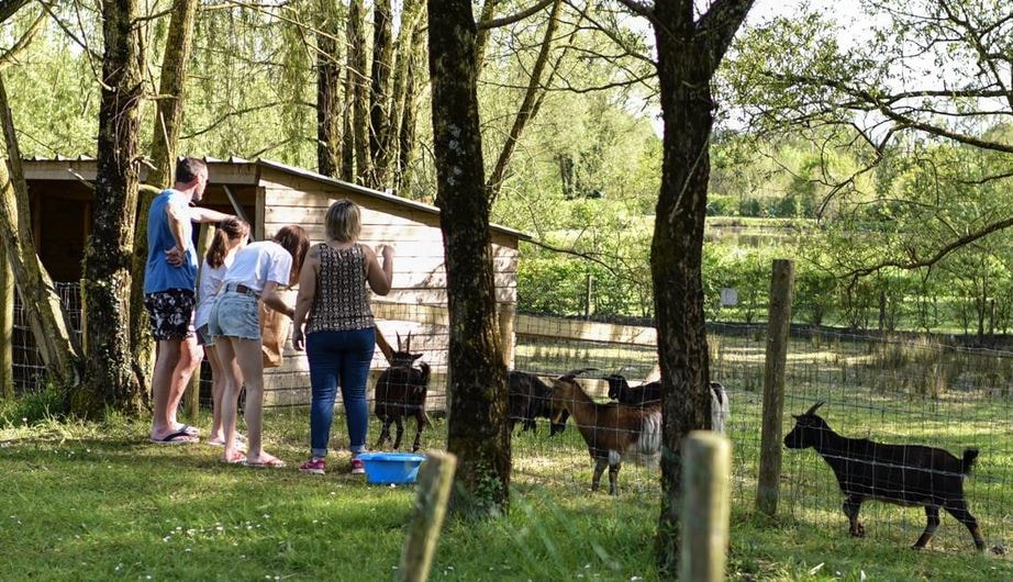 Camping Paradis DOMAINE DE BELLEVUE — Photo 8