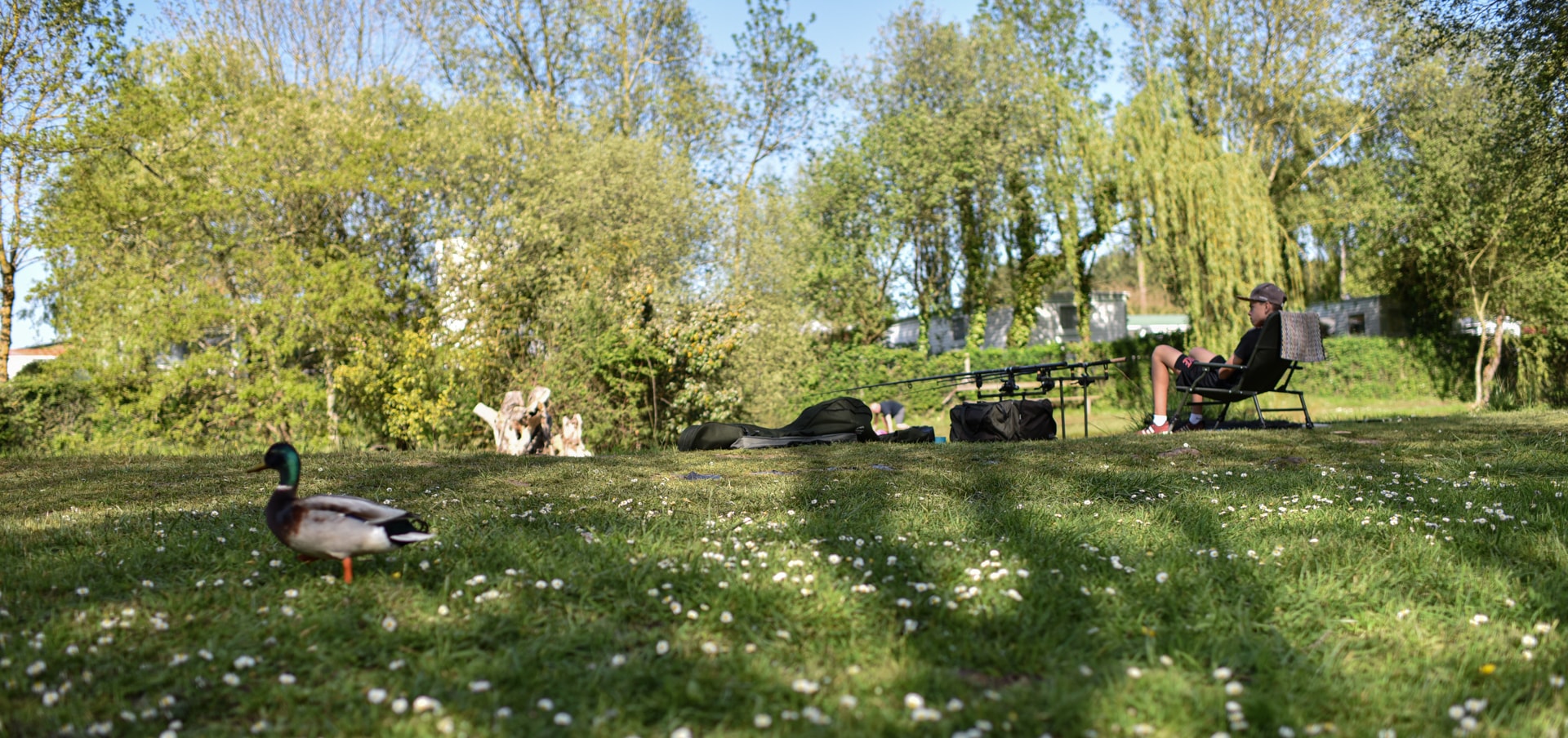 Camping Paradis DOMAINE DE BELLEVUE — Photo 6