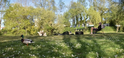 Camping Paradis DOMAINE DE BELLEVUE