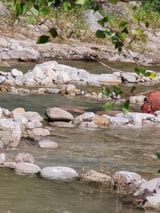 Foto #15 van Camping la Ribière