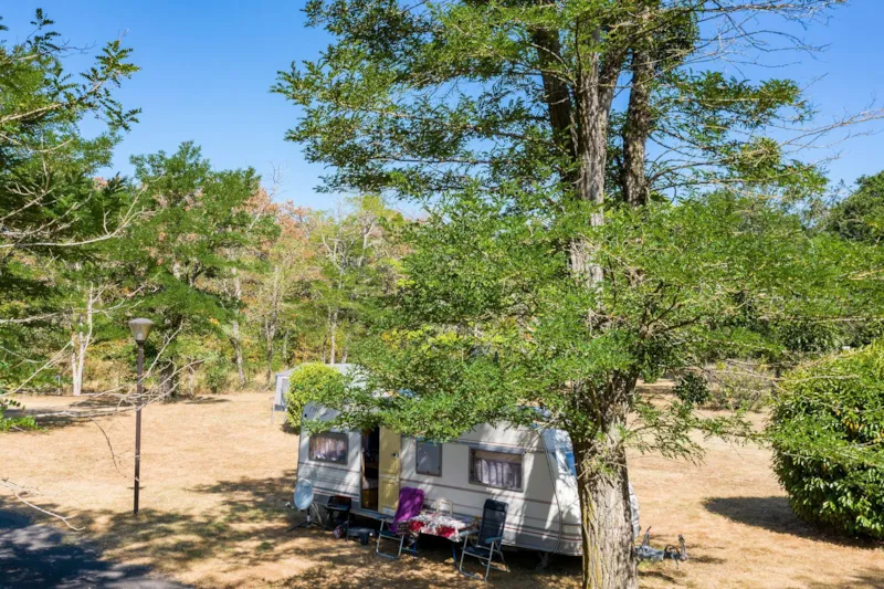 Forfait Confort, Avec Électricité