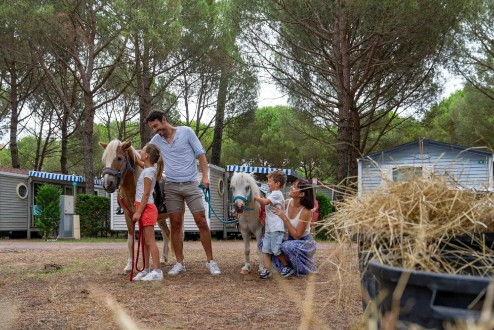 Camping Sandaya L'Estanquet