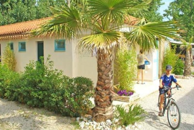 kchenrollenhalter camping Kchenrollenhalter  Felleisen