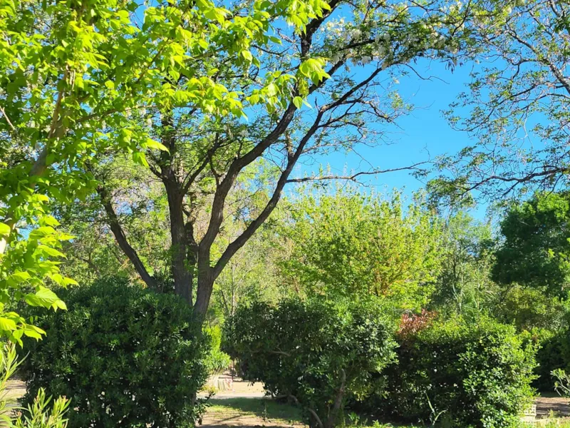 Accueil Velo Et Randonneurs - Sans Électricité -