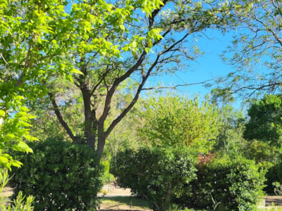 Bike and Hikers Welcome (1 person) – without electricity