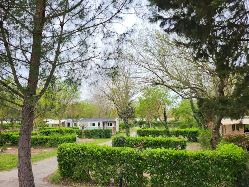 Forfait Camping Premium (1 Tente/ Caravane + 1 Voiture) - Électricité Incluse 16A - Raccordement Eau