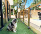 Foto #16 van Camping Le Val de Cesse