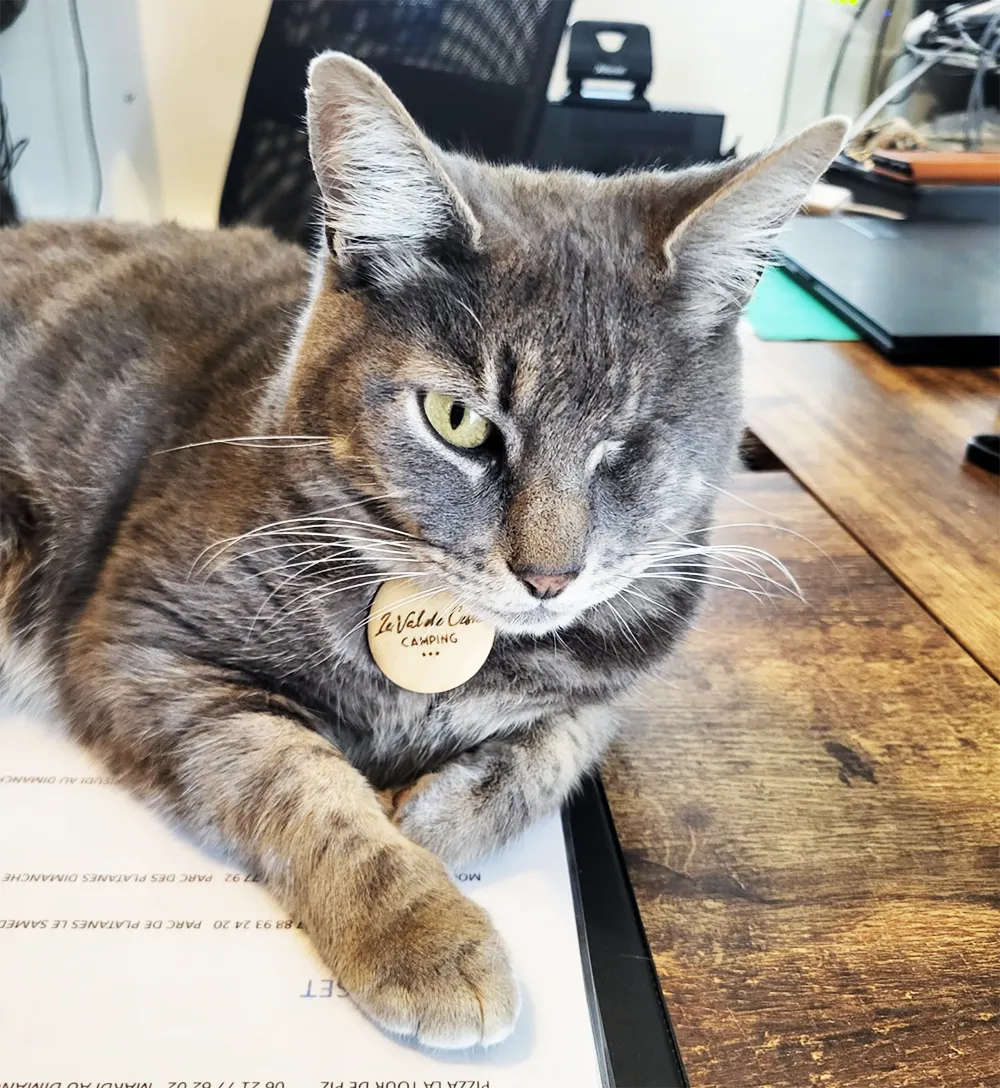 Camping Le Val de Cesse