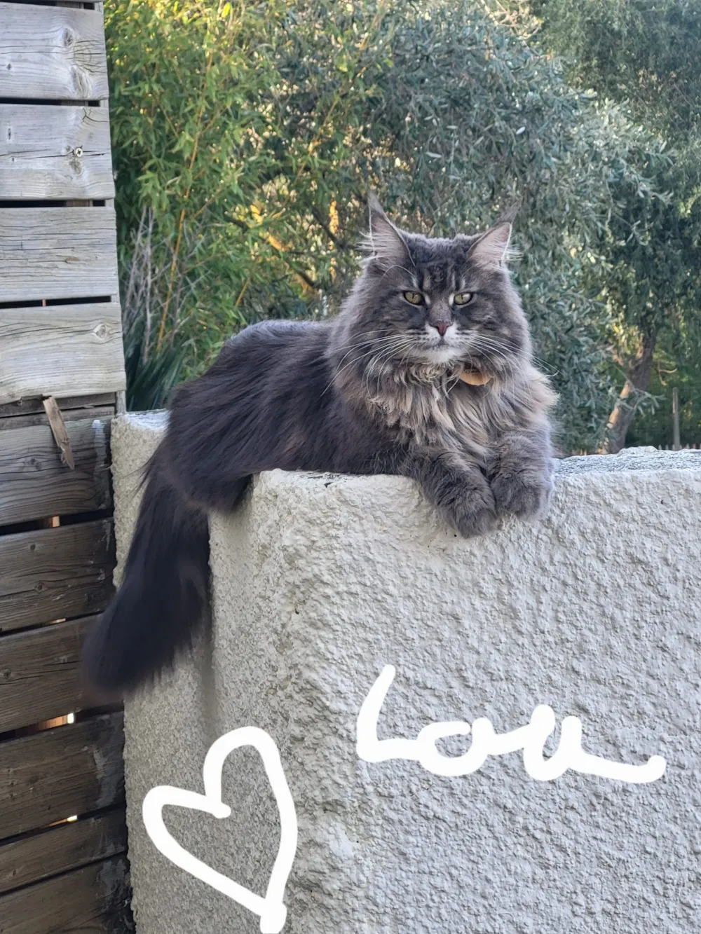 Camping Le Val de Cesse