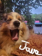 Foto #13 van Camping Le Val de Cesse