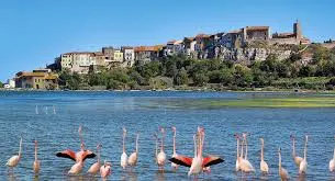 Camping Le Val de Cesse