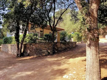 Mietunterkunft - Chalet Klimatisiert 3 Zimmer - Campo di Liccia