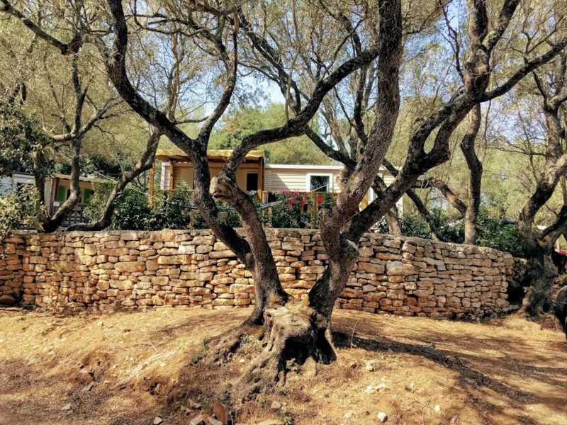 Mobil Home Climatisé 3 Chambres