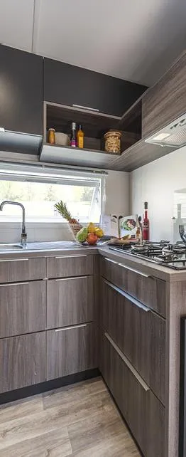 Mobil Home Maquis Climatisé Loft