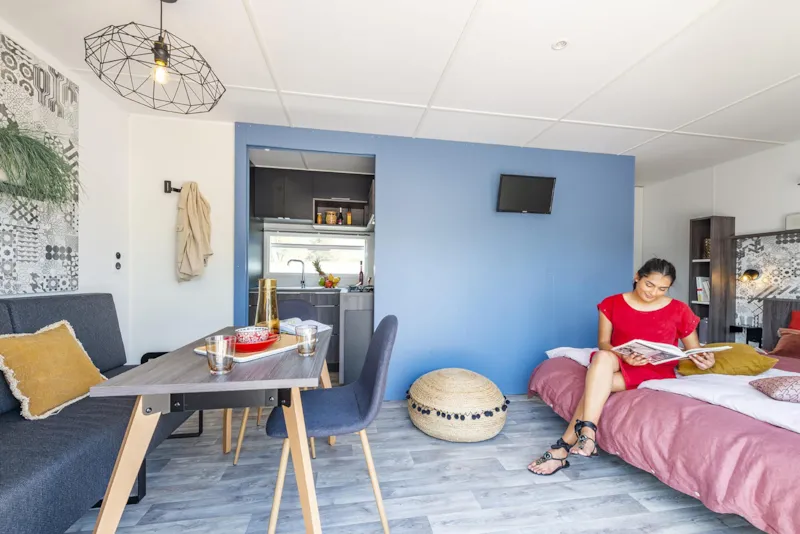 Mobil Home Maquis Climatisé Loft