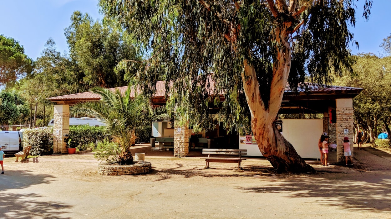 Campo di Liccia