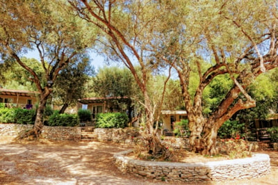 Campo di Liccia
