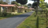Chalet Con Aria Condizionata + Tv - 3 Camere Chalet Con Aria Condizionata + Tv - 3 Camere
