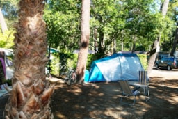 Kampeerplaats(en) - Staanplaatsen Standard 2/6P - Camping Domaine de la Marina