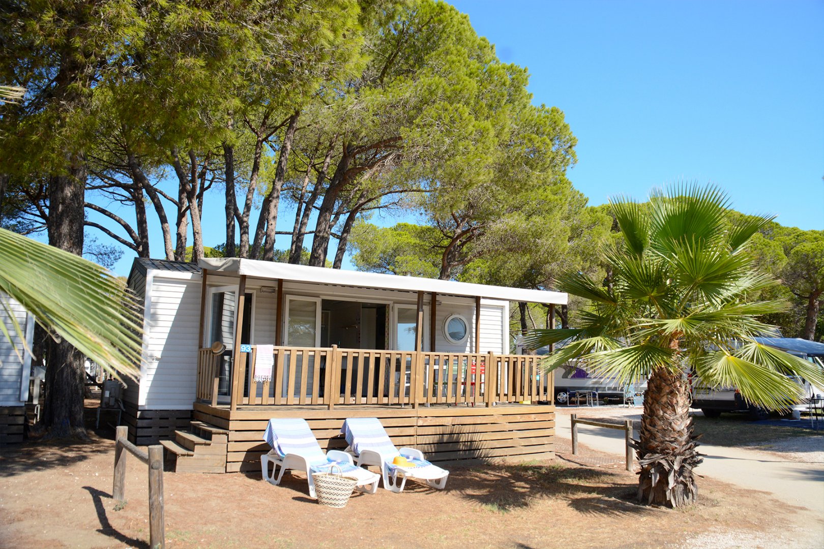 markise womo Camping Markise
