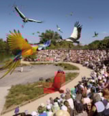 Foto #55 van Camping Le Nid Du Parc