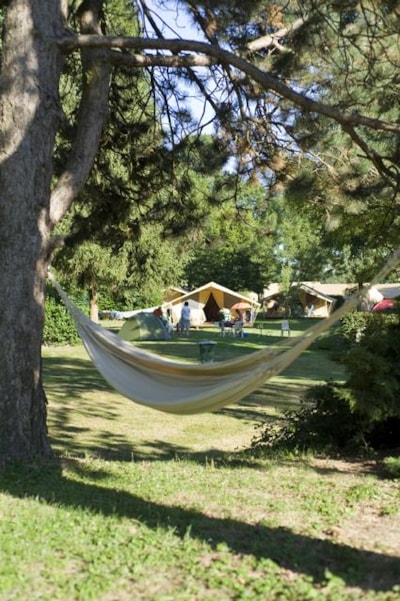 Pitch + 1 car + tent , caravan or motor home