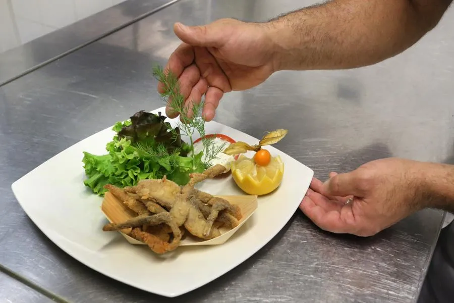 CAMPING LE NID DU PARC