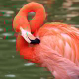 Foto #38 van Camping Le Nid Du Parc