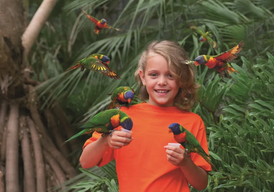 CAMPING LE NID DU PARC