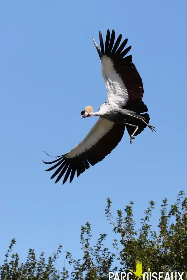 CAMPING LE NID DU PARC