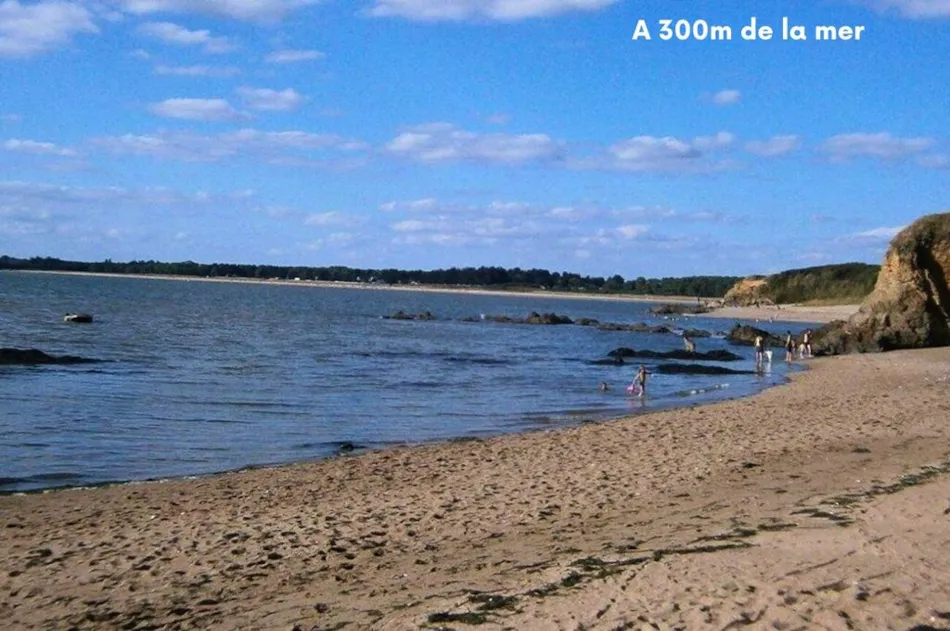 Clico Chic - L'Etoile de Mer