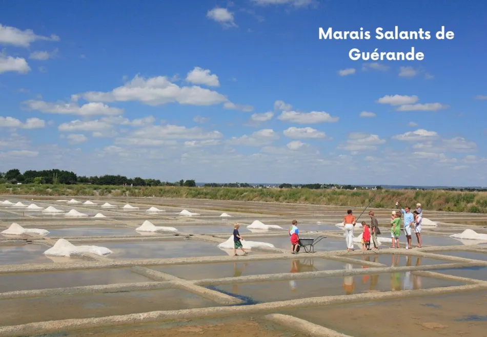 Clico Chic - L'Etoile de Mer